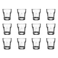 Blinkmax Premium Shot Glasses (12X45mL)